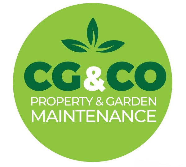 CGCO Services
